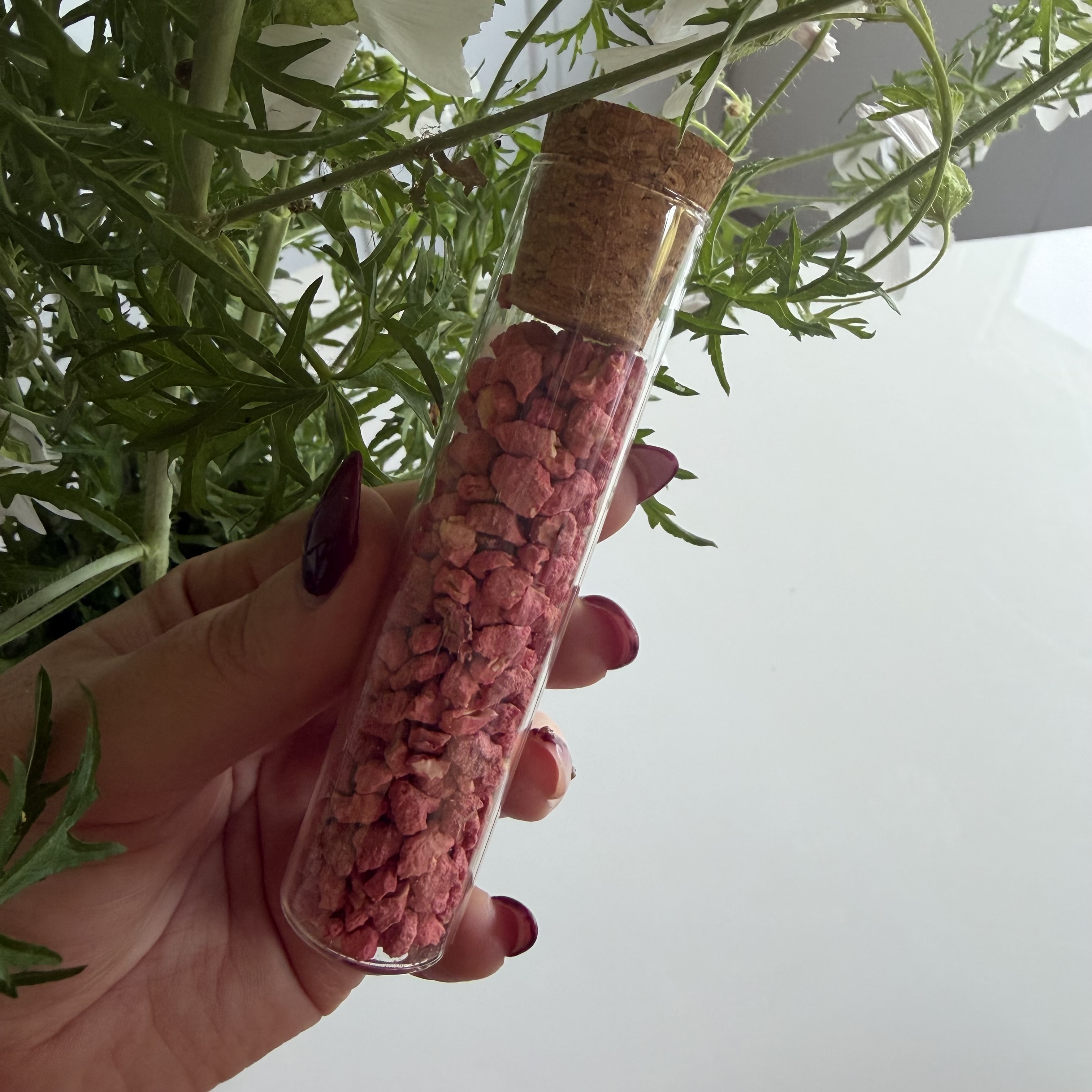 DUFTKUGLER TIL STØVSUGERE (SOMMERBLOMST)
